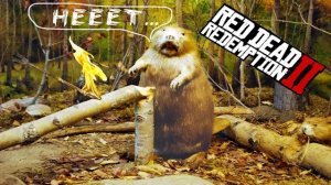 RDR2 ГДЕ НАЙТИ БОБРА? РДР2: Что будет если поджечь легендарное животное?