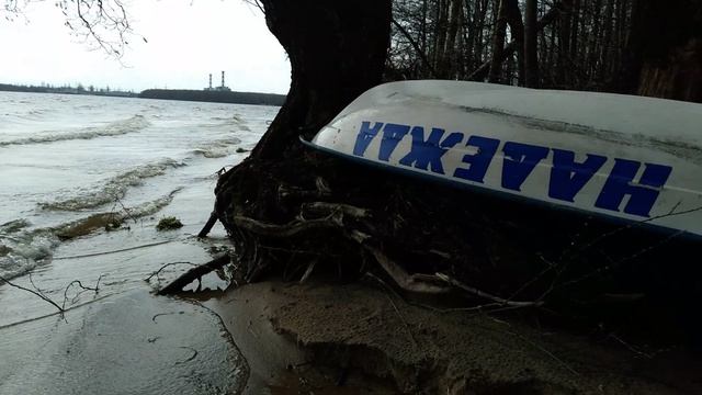 #надежда умирает последней?