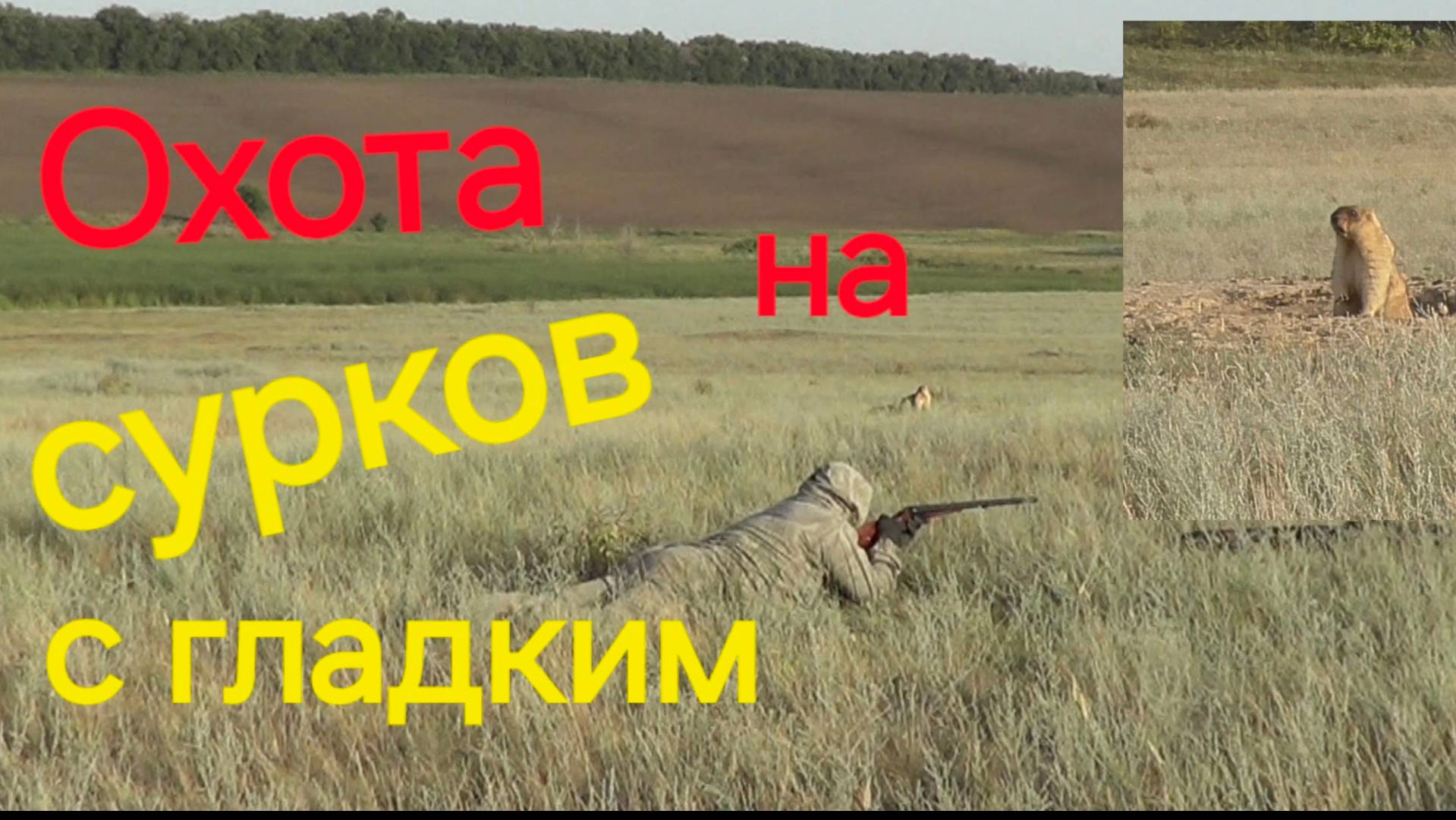 Охота на сурка. 12 калибр смотреть онлайн