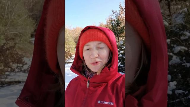 СНЕГ ЗИМОЙ И РАДОСТЬ В КАЖДОМ ДНЕ! смотреть онлайн