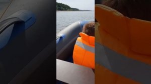 Лодка ПВХ ДНД Орка 3.6 отзыв