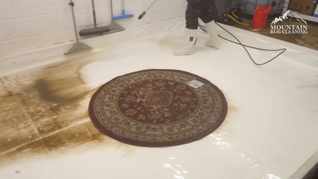 Frozen Solid Rug ! Can It Be Restored ? Satisfying ASMR Carpet Cleaning смотреть онлайн