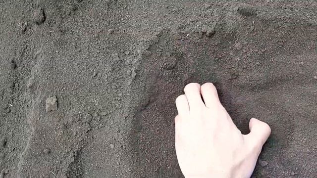Пустыня своими руками! Делаем пустыню во всех регионах страны. смотреть онлайн