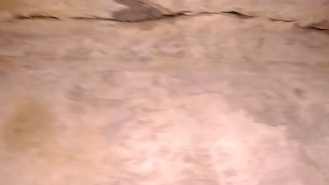 Администрации г. Липецка плевать....как выживают люди смотреть онлайн