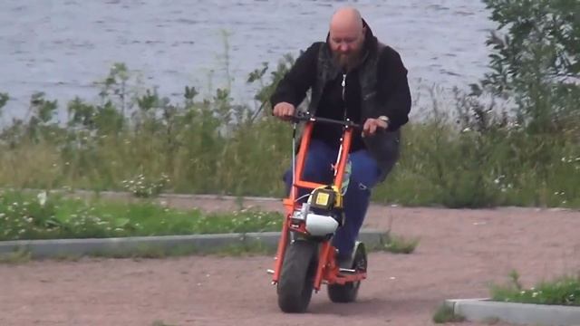 Три года проекту Лесной Кот смотреть онлайн