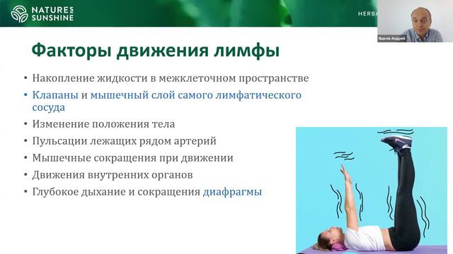 2-2 Детоксикация организма. Лимфатическая система. Лимфодренаж смотреть онлайн