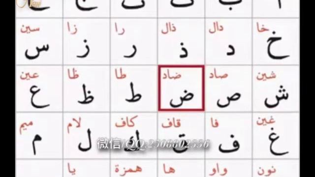 Арапша Әлппе смотреть онлайн