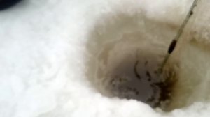 Рыбалка зимой 2019 проверка сети ,отличный улов!!!