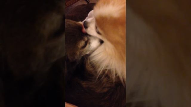 Sometimes you need a good eyeball licking смотреть онлайн