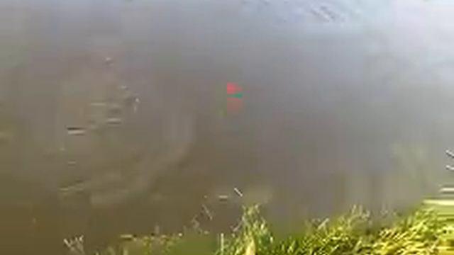 PESCARIA NO PESQUE PAGUE PRIMAVERA COM LUCIO COSTA E JOAO PEDRO COSTA 09 VID 00037-20100306-1716.3G смотреть онлайн