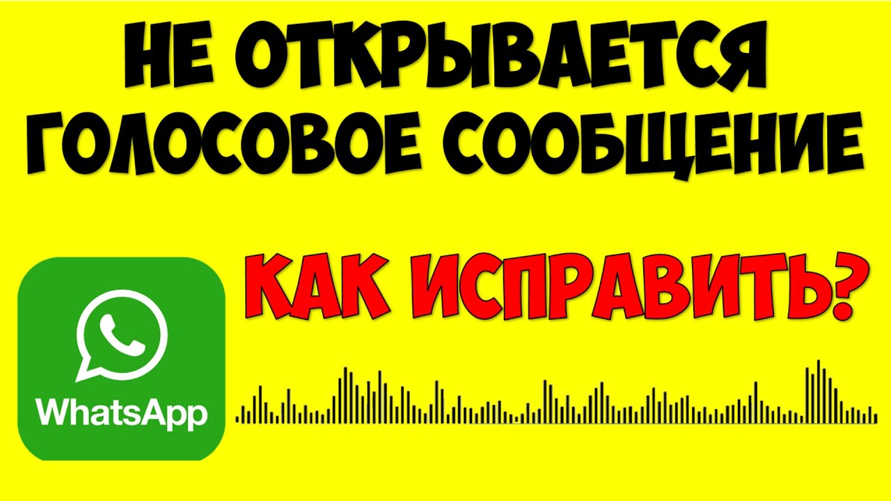 Не открывается голосовое сообщение в Ватсапе что делать как исправить ⚠️ Whatsapp не открывает аудио смотреть онлайн