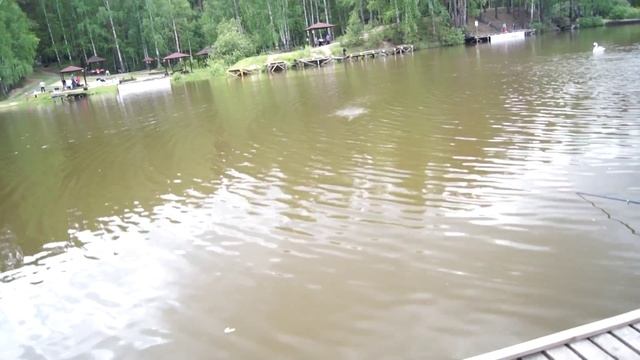 Рыбалка на Калиновке рекомендую ! смотреть онлайн