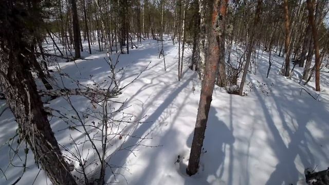Найти медведя Весной смотреть онлайн