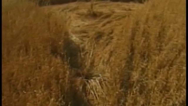 Круги на полях /Новые факты смотреть онлайн