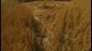 Круги на полях /Новые факты