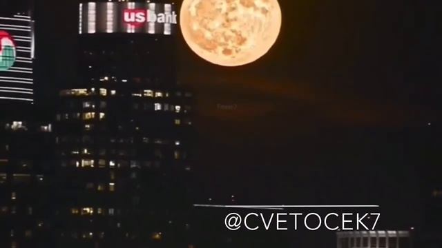 Cvetocek7 - одинока луна (cover) смотреть онлайн