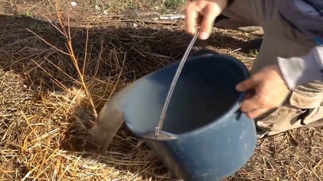 Как правильно пересадить персик смотреть онлайн