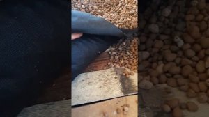 Утепление пола керамзитом! Не делайте этого никогда!