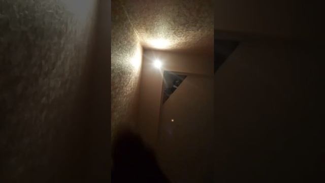 Обзор на бэи смотреть онлайн