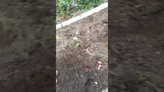 16 июля 2022 г. смотреть онлайн