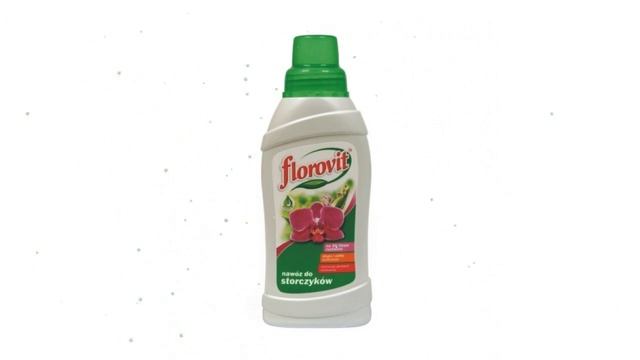 Удобрение Для орхидеи (FLOROVIT), 0,55 л обзор 8008074 производитель FLOROVIT (Польша) смотреть онлайн