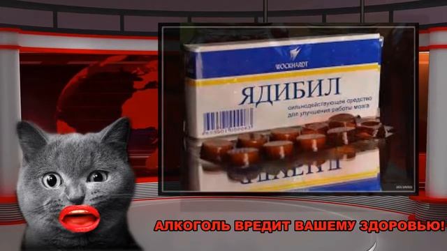 (18 +) Как не болеть с похмелья после новогодней ночи… смотреть онлайн