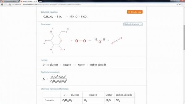 Exploring the Educational Potential of Wolfram|Alpha