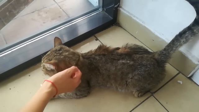 Могла что нибудь другое привезти Недовольная коллега высказала своё фи моему подарку смотреть онлайн