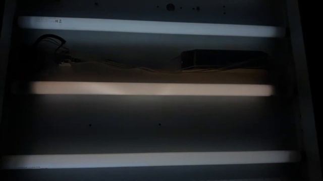"Шнуровка" в люминесцентной лампе TDM смотреть онлайн