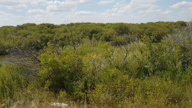 Щуки атакуют дуплетом! Два дня в поисках новых рыбных мест! смотреть онлайн