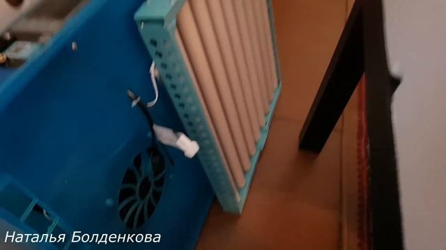 Мой новый инкубатор "Птичий двор." Обзор и закладка яиц. смотреть онлайн
