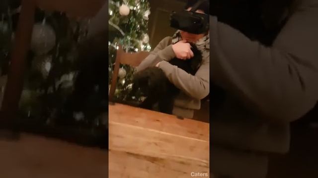 Mum grabs wrong end of dog смотреть онлайн