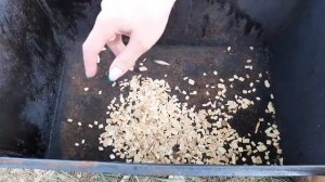 Горячее копчение рыбы. Рипус горячего копчения. Копченая ряпушка.