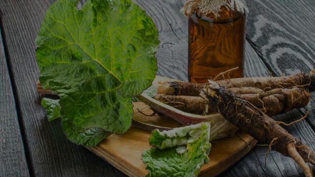 Домашние Животные и Их Уход