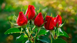 🌷 МЕДИТАТИВНАЯ  УСПОКАИВАЮЩАЯ МУЗЫКА ДЛЯ СНА 🌿 ОЧЕНЬ КРАСИВАЯ РЕЛАКС МУЗЫКА ДЛЯ ДУШИ