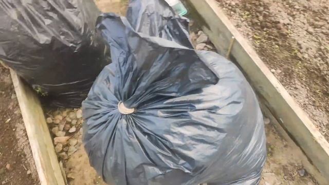 Мульча. Улучшаем свойства почвы #огород #сад #уход #мульча #мульчирование смотреть онлайн