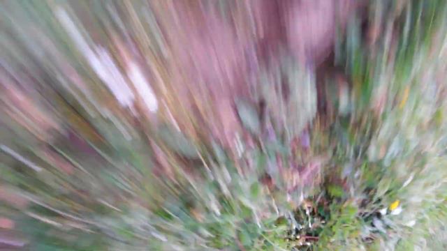 Чафр смотреть онлайн