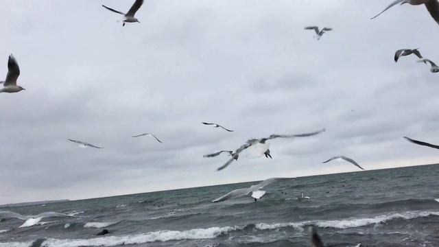 Парус М. Лермонтов смотреть онлайн