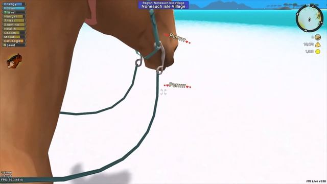 Horse Isle 3 Adventures: Trick Training! смотреть онлайн