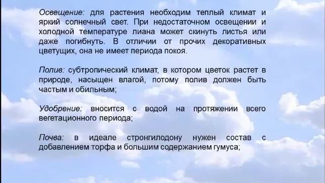 Нефритовый цветок смотреть онлайн