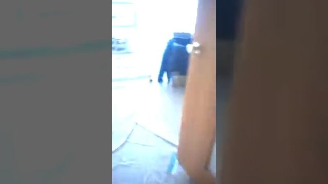 Монтаж кондиционеров. Трасса в кабель-канале смотреть онлайн