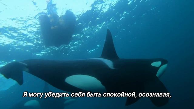 "Обеспечить спокойствие". 29 июля. День за днем в Ал-анон. Ежедневник для созависимых смотреть онлайн
