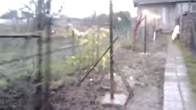 Уличные фонари в саду смотреть онлайн
