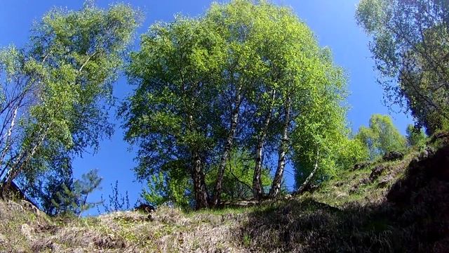 Берёзовская балка смотреть онлайн