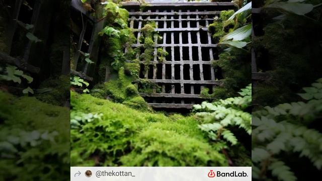 Thekottan - Living Open