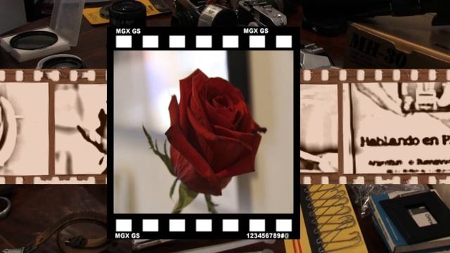 Hoy Recordamos...  Fotografia En El Rastro