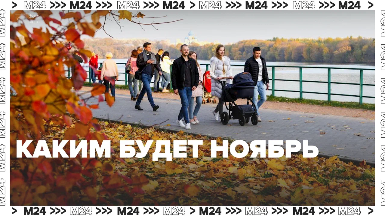 Каким будет ноябрь — Москва24 | Контент