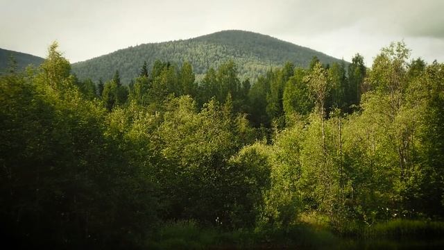 Катышерские луга смотреть онлайн