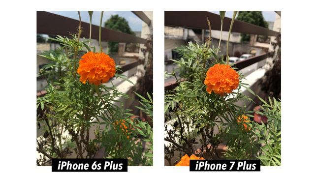 iPhone 6s Plus vs iPhone 7 Plus in 2022 | Still Worth Buying in 2022 | Honest Comparison | Hindi смотреть онлайн