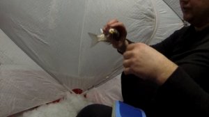 Караси-кабанчики. Рыбалка озеро Салтаим, старый Новый год, Омская область, 2023